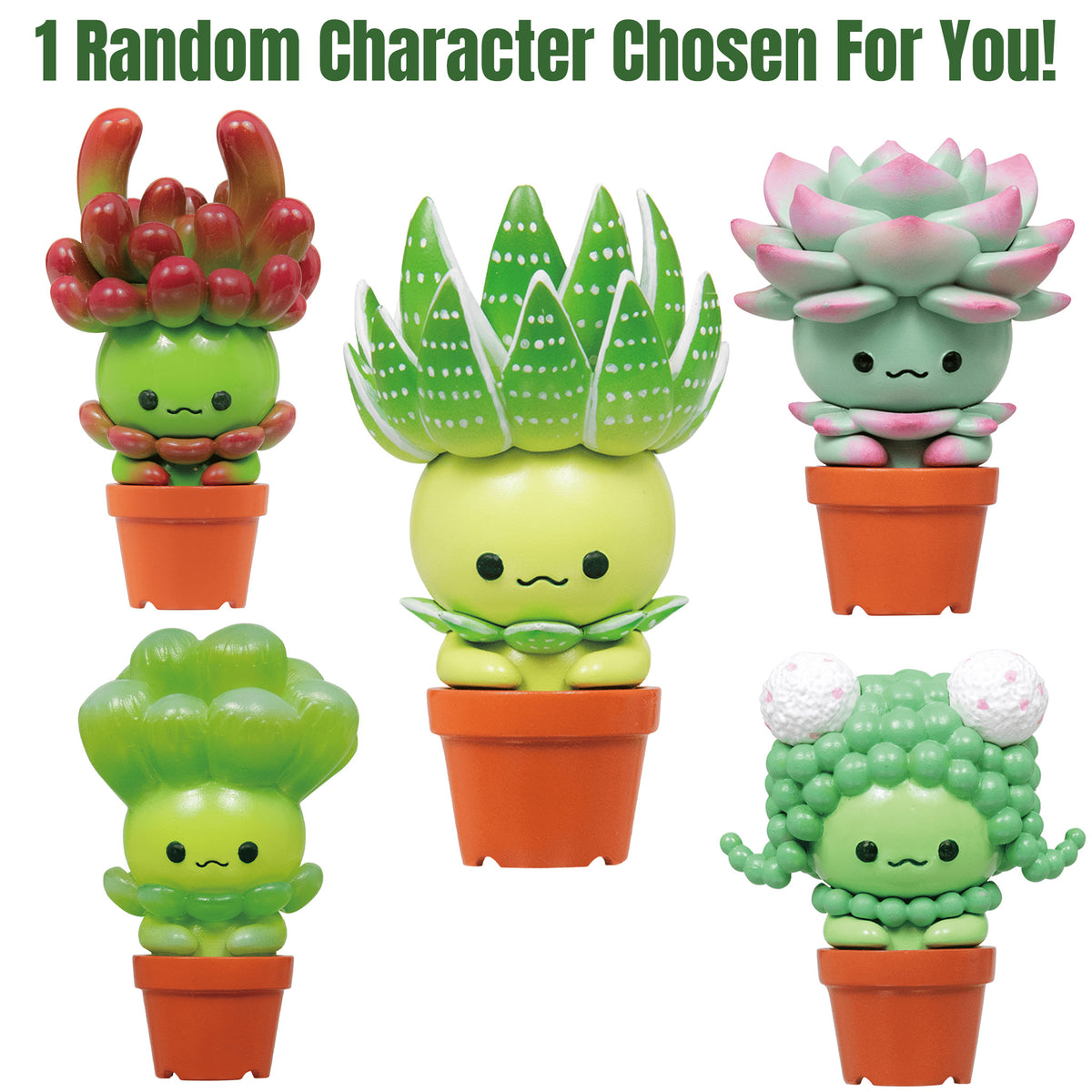 Succulent Friends Blind Box (NEW) Qualia Tokyo [You Choose!]