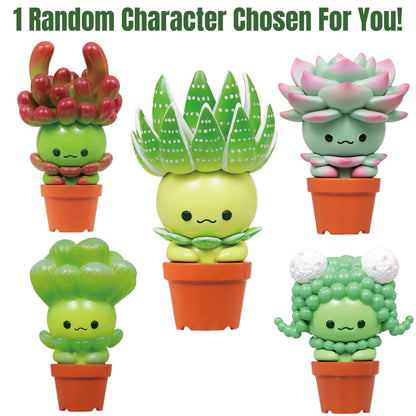 Succulent Friends Blind Box (NEW) Qualia Tokyo [You Choose!]