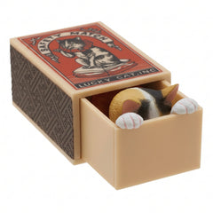 Calico cat hiding inside its miniature matchbox