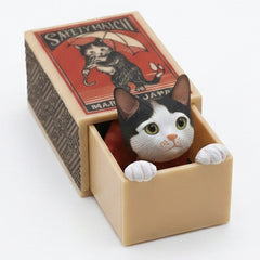 Black and white cat peeking out of its miniature matchbox