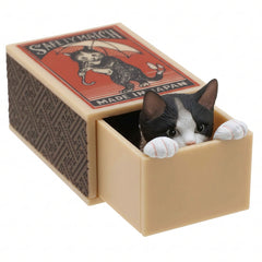 Black and white cat hiding inside its miniature matchbox