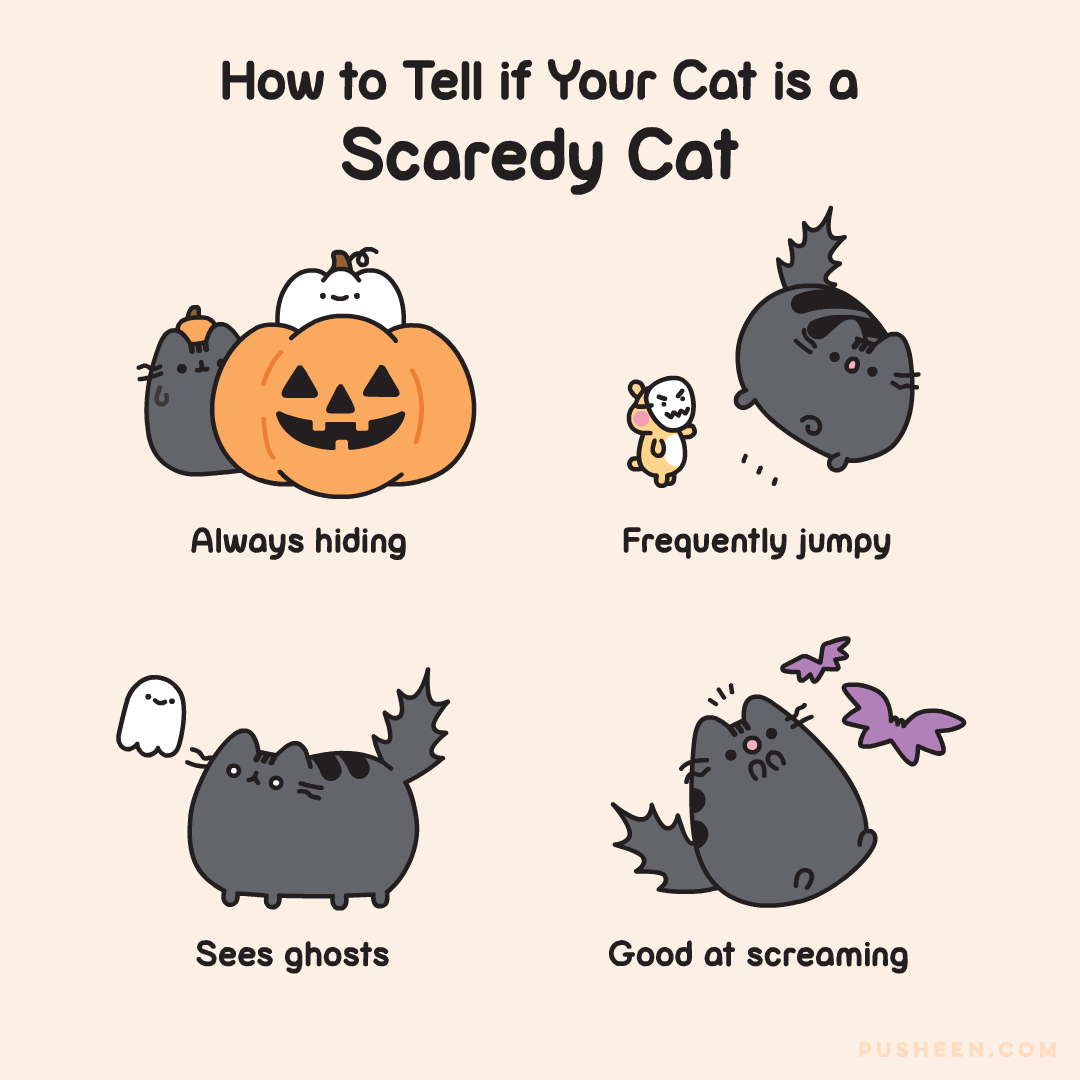 PUSHEEN Scaredy Cat Halloween Plush (9.5" GUND Plushie) NEW LIMITED EDITION 2022